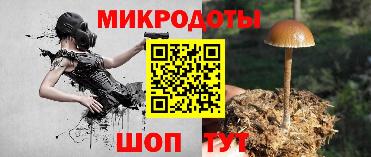 Галлюциногенные грибы MAGIC MUSHROOMS Ялуторовск