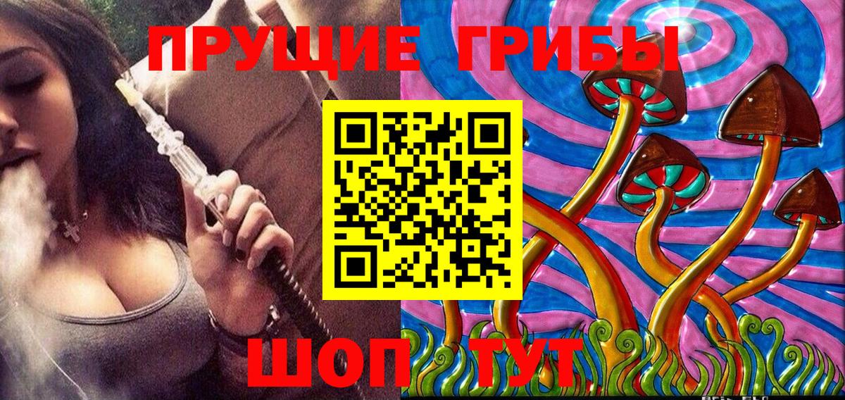Ялуторовск  закладка  Вход с VPN  Галлюциногенные грибы Psilocybe 